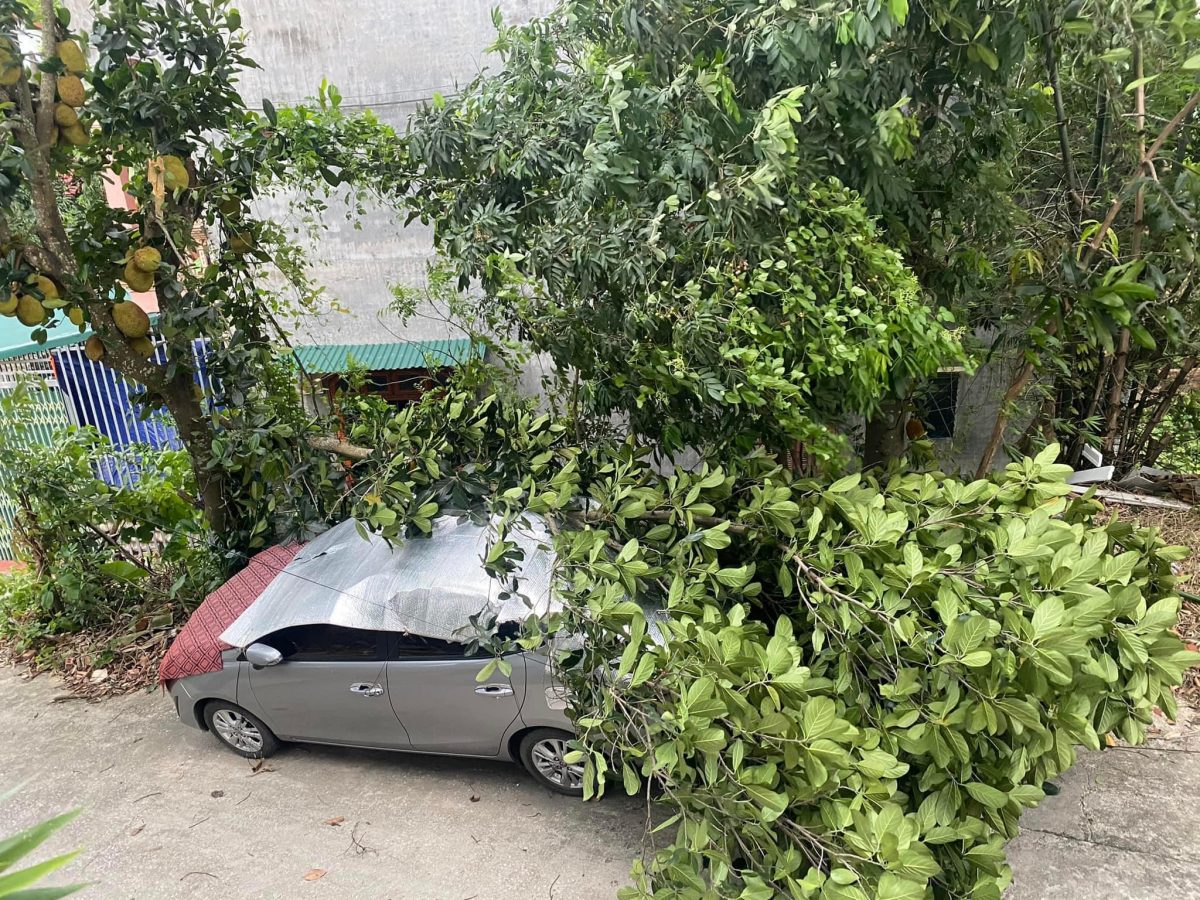 BỒI THƯỜNG THIỆT HẠI